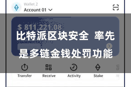 比特派区块安全 率先是多链金钱处罚功能