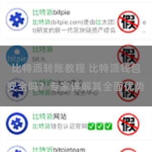 比特派转账教程 比特派钱包安全吗？专家详解其全面优势