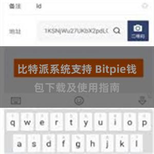 比特派系统支持 Bitpie钱包下载及使用指南