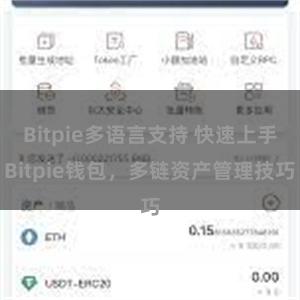 Bitpie多语言支持 快速上手Bitpie钱包，多链资产管理技巧