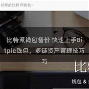 比特派钱包备份 快速上手Bitpie钱包，多链资产管理技巧