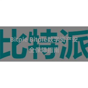 Bitpie Bitpie数字资产安全保障指南