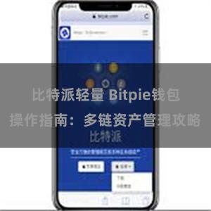 比特派轻量 Bitpie钱包操作指南：多链资产管理攻略