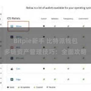 Bitpie新手 比特派钱包多链资产管理技巧：全面攻略