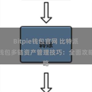 Bitpie钱包官网 比特派钱包多链资产管理技巧：全面攻略