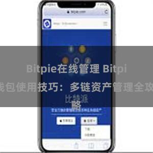 Bitpie在线管理 Bitpie钱包使用技巧：多链资产管理全攻略