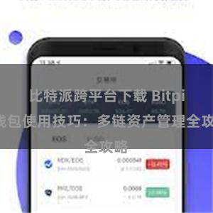 比特派跨平台下载 Bitpie钱包使用技巧：多链资产管理全攻略