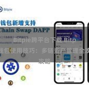 Bitpie跨平台下载 Bitpie钱包使用技巧：多链资产管理全攻略