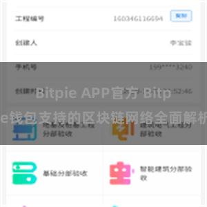 Bitpie APP官方 Bitpie钱包支持的区块链网络全面解析