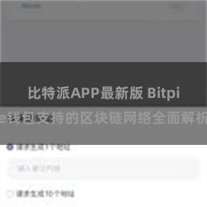 比特派APP最新版 Bitpie钱包支持的区块链网络全面解析