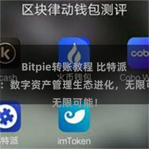 Bitpie转账教程 比特派钱包：数字资产管理生态进化，无限可能！