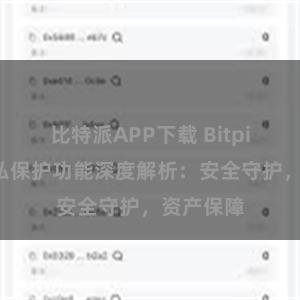 比特派APP下载 Bitpie钱包隐私保护功能深度解析：安全守护，资产保障