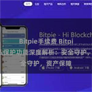 Bitpie手续费 Bitpie钱包隐私保护功能深度解析：安全守护，资产保障