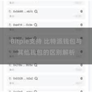 Bitpie支持 比特派钱包与其他钱包的区别解析