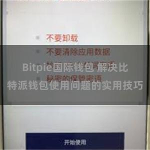 Bitpie国际钱包 解决比特派钱包使用问题的实用技巧