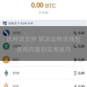 比特派支持 解决比特派钱包使用问题的实用技巧