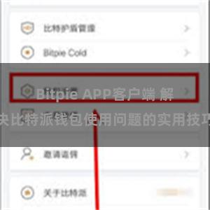 Bitpie APP客户端 解决比特派钱包使用问题的实用技巧