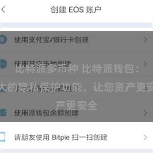 比特派多币种 比特派钱包：强大的隐私保护功能，让您资产更安全