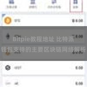 Bitpie教程地址 比特派钱包支持的主要区块链网络解析