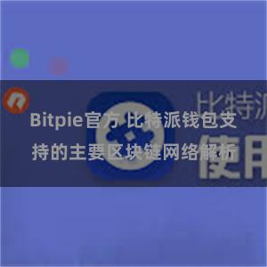 Bitpie官方 比特派钱包支持的主要区块链网络解析