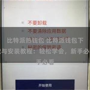 比特派热钱包 比特派钱包下载与安装教程：轻松学会，新手必看