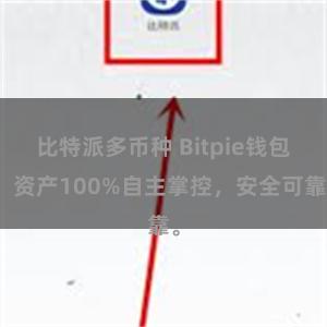 比特派多币种 Bitpie钱包：资产100%自主掌控，安全可靠。