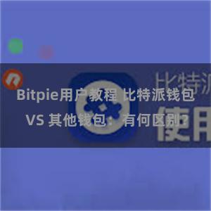 Bitpie用户教程 比特派钱包 VS 其他钱包：有何区别？