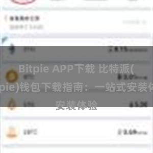 Bitpie APP下载 比特派(Bitpie)钱包下载指南：一站式安装体验