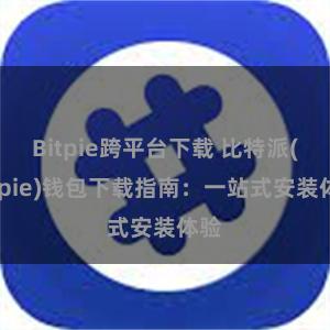 Bitpie跨平台下载 比特派(Bitpie)钱包下载指南：一站式安装体验