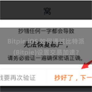 Bitpie iOS 如何通过比特派(Bitpie)设置交易加速？