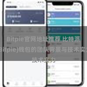 Bitpie官网地址推荐 比特派(Bitpie)钱包的团队背景与技术实力