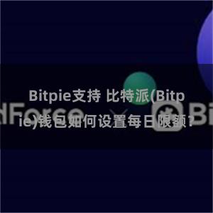 Bitpie支持 比特派(Bitpie)钱包如何设置每日限额？