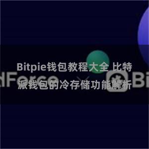 Bitpie钱包教程大全 比特派钱包的冷存储功能解析