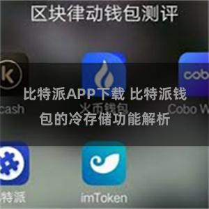 比特派APP下载 比特派钱包的冷存储功能解析