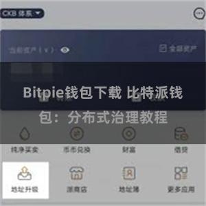 Bitpie钱包下载 比特派钱包：分布式治理教程