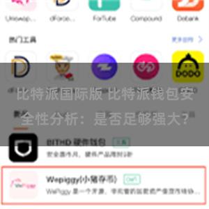 比特派国际版 比特派钱包安全性分析：是否足够强大？