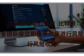 比特派去中心资产  比特派的安全团队会立即经受次序进行风险收尾