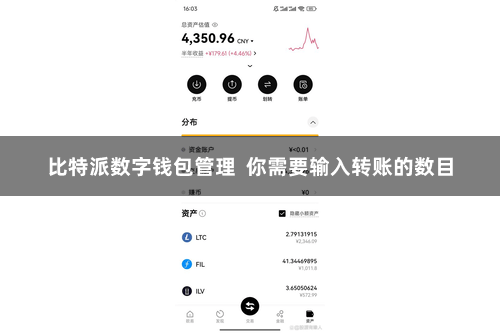 比特派数字钱包管理  你需要输入转账的数目